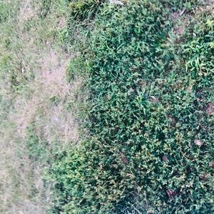 Meet your Posher, Alison